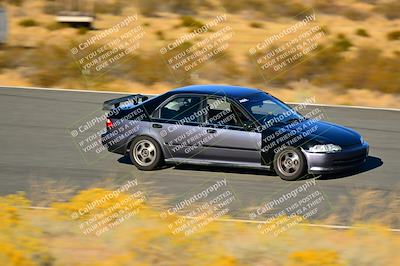 media/Nov-16-2024-Extreme Speed (Sat) [[6587d07cc4]]/Purple Group/Session 3 (The Bowl)/